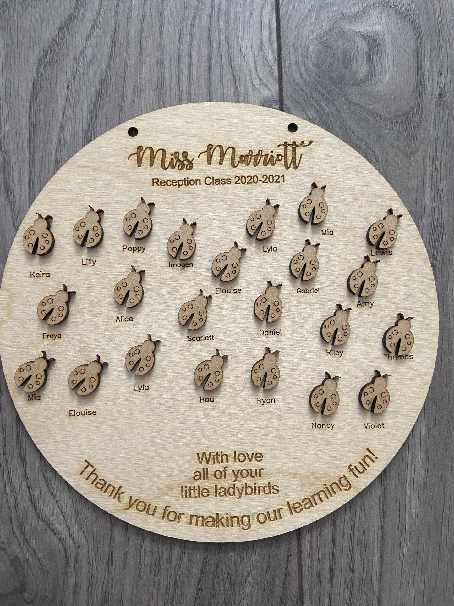 Wooden personalised whole class ladybird plaque - Laser LLama Designs Ltd